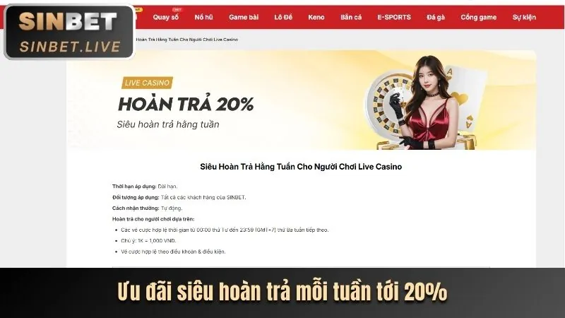 Chương Trình Thành Viên VIP